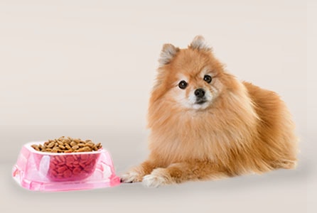 sub-banner2